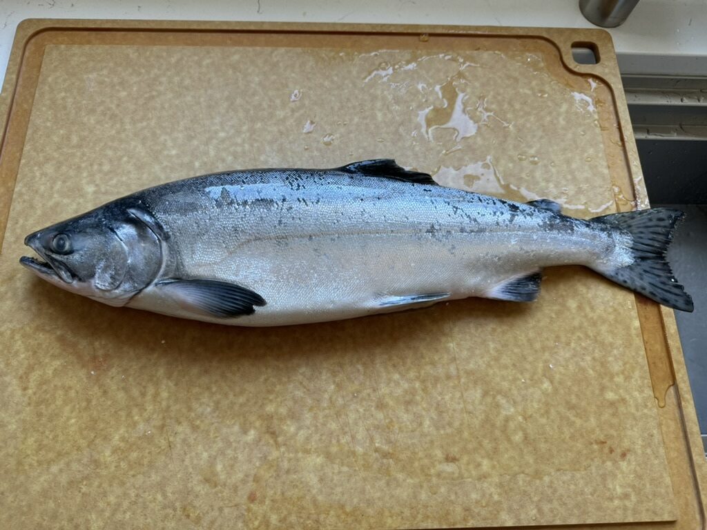 2024 Pink Salmon refreshed in May 2025