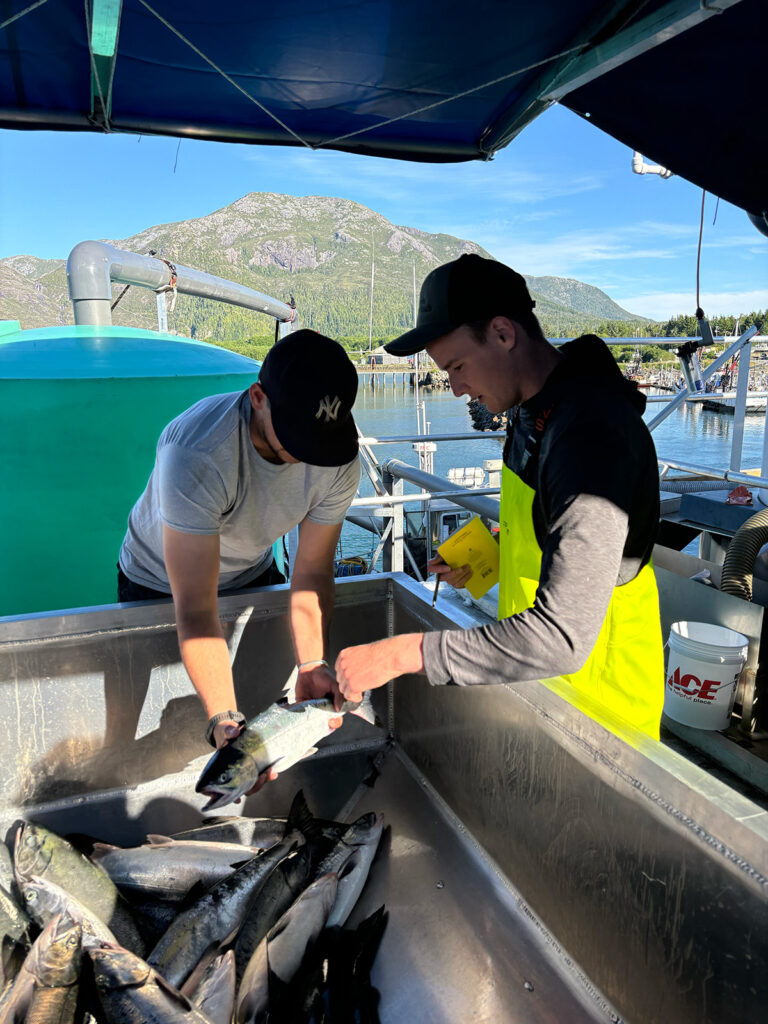 Buy line operations in Metlakatla, Alaska.